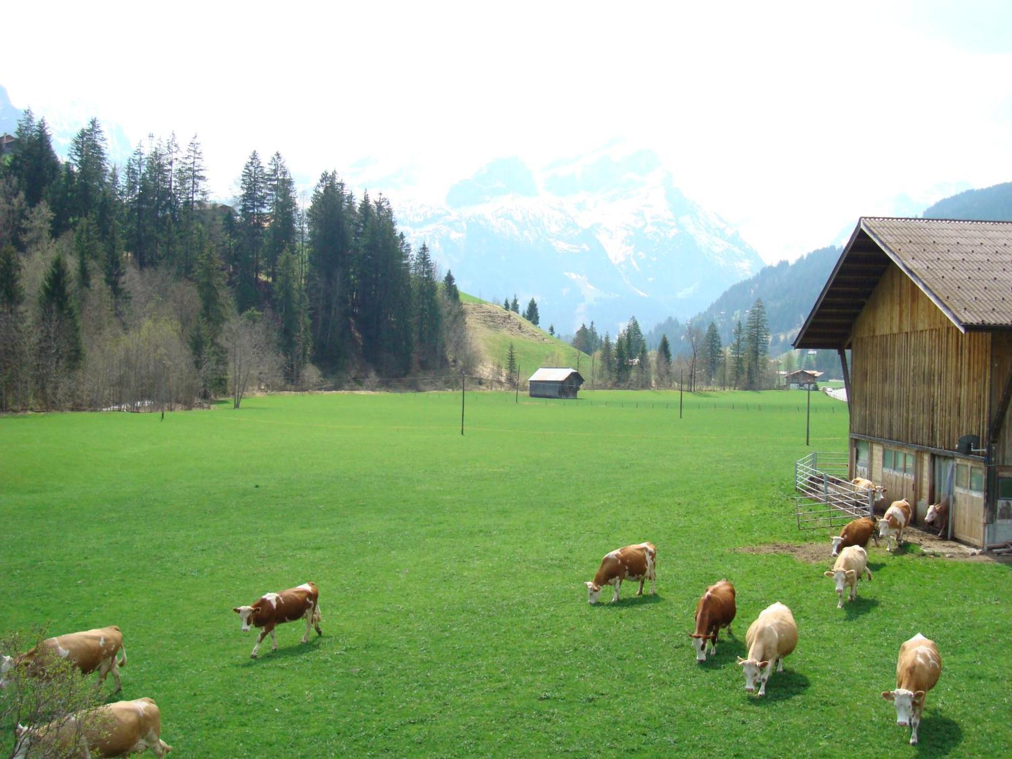 Casa Antica Apartment Gstaad Exterior photo